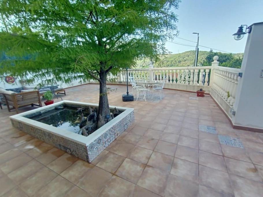 Villa Falconera Apartaments, Gandia A Las Faldas De La Montana Kültér fotó