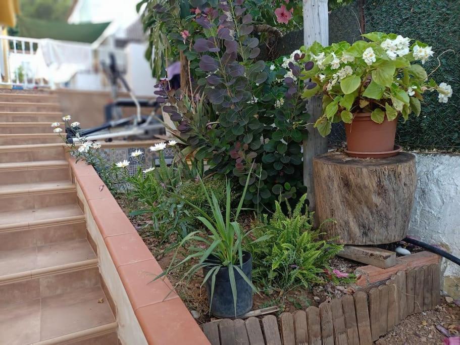Villa Falconera Apartaments, Gandia A Las Faldas De La Montana Kültér fotó
