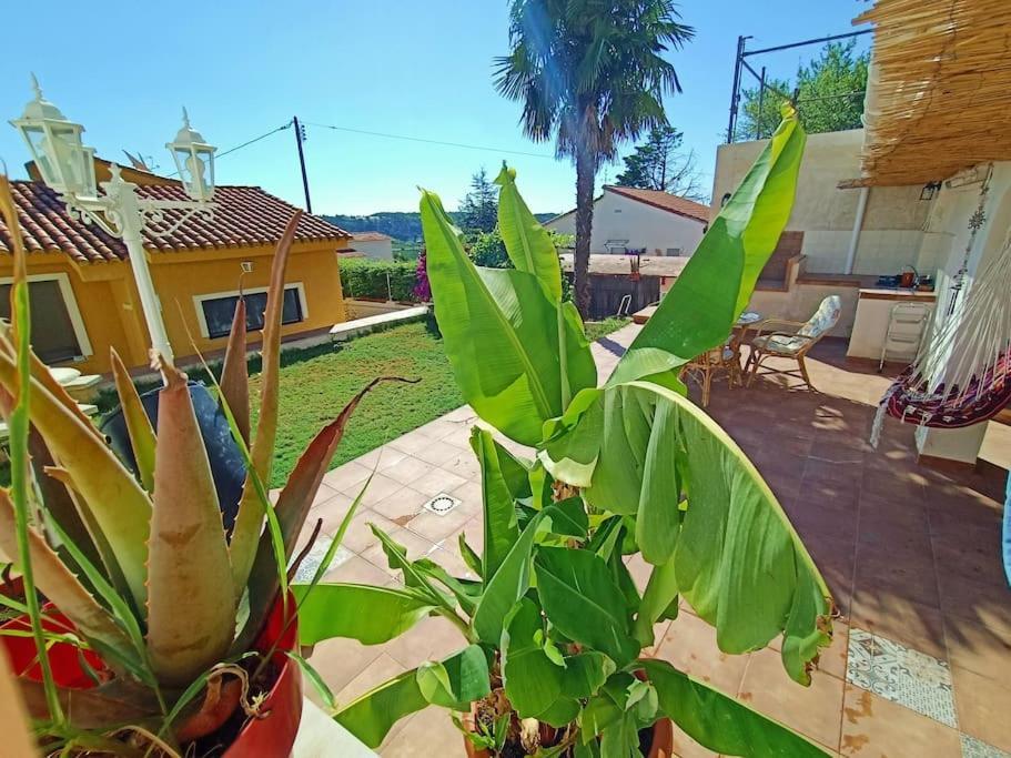 Villa Falconera Apartaments, Gandia A Las Faldas De La Montana Kültér fotó