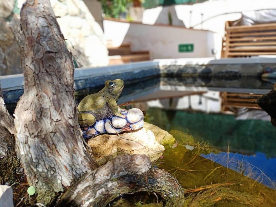 Villa Falconera Apartaments, Gandia A Las Faldas De La Montana Kültér fotó