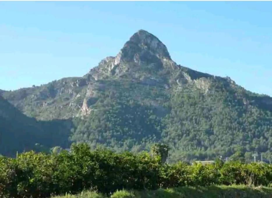 Villa Falconera Apartaments, Gandia A Las Faldas De La Montana Kültér fotó