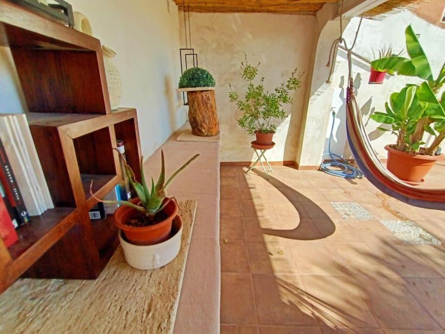 Villa Falconera Apartaments, Gandia A Las Faldas De La Montana Kültér fotó