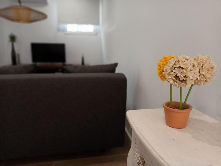 Villa Falconera Apartaments, Gandia A Las Faldas De La Montana Kültér fotó